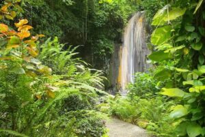 diamond falls & botanical gardens