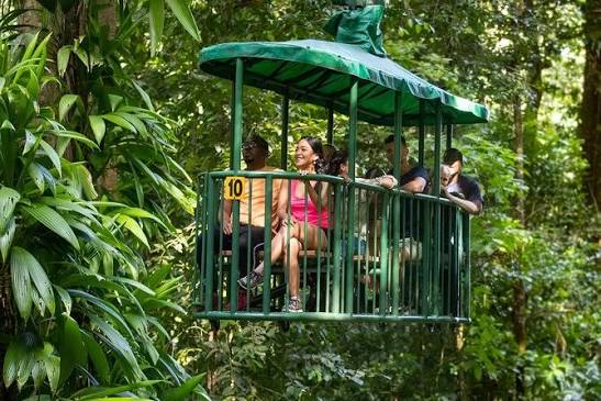 rainforest sky ride