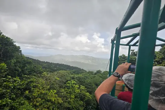 rainforest st lucia