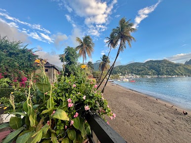 seashell beach restaurant 12
