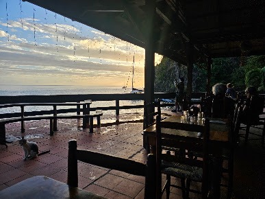 seashell beach restaurant 14
