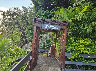 seashell beach restaurant 9