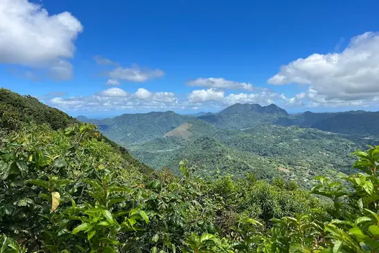 gros piton natural trail.